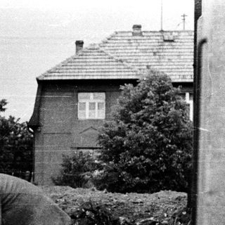 Man tending to a garden alongside a brick wall.
