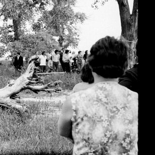 People gathered outdoors around a tree stump.