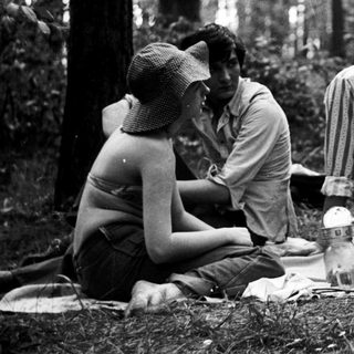 Group picnic in forest with food and conversation.