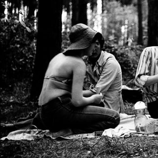 People enjoying picnic in forested area.