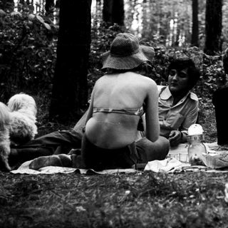 People picnicking in forest with dog.