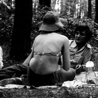 People picnicking in forest with dog.