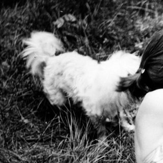 Two people and a dog resting outdoors.