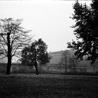 Grayscale park scene with bare trees and distant wall.