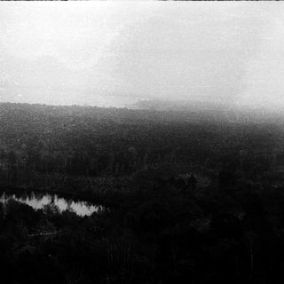 Aerial view of dense forest with lake.