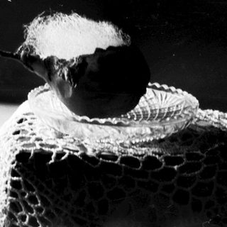 A close-up of a knotted rope with a small bird perched on it.