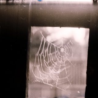 Spider web on a window frame.
