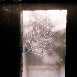 A spider web on a window pane.