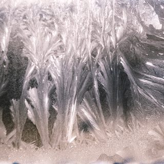Frost patterns on a window pane.