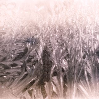 Frosted window with intricate ice crystal patterns.
