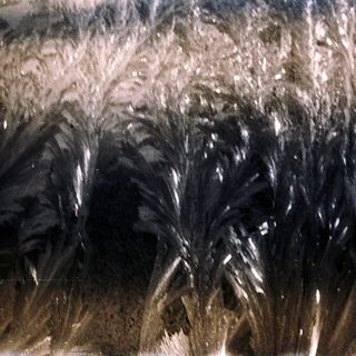 Close-up of wet, tangled dark hair.