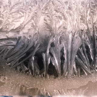 Frost patterns on a window pane.