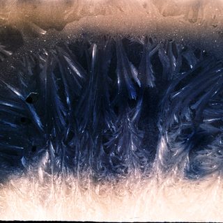 Close-up of dark, wavy hair on light skin.