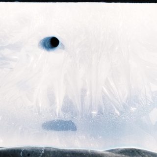 Clear ice with air bubbles and small dark impurities.