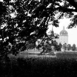 Elegant castle through lush foliage by water.