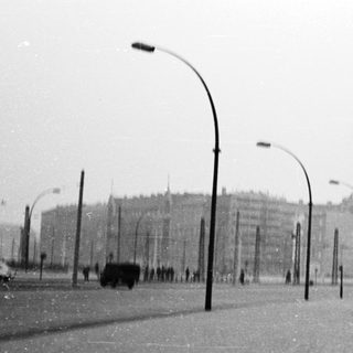 Urban street with bare trees, buildings, and sparse traffic.