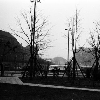 Urban park area with young trees and bus.