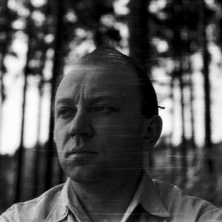 Bald man in forest, serious expression.