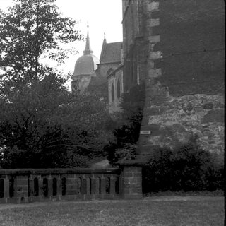 Historic stone church with spire behind ivy-covered wall.