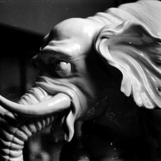 Close-up of a sculpted elephant head.