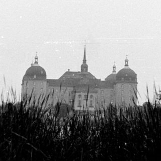 Historic building with domes framed by foliage.