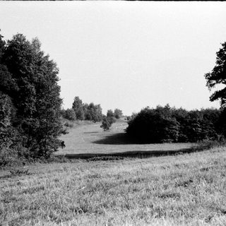 Rural road through open grassy field bordered by trees.