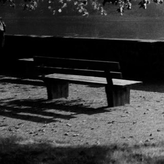 Serene lakeside park with benches and lamppost.