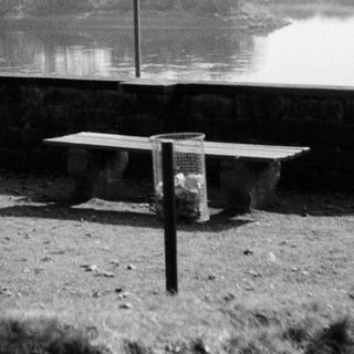 Serene lakeside park with benches and lamppost.