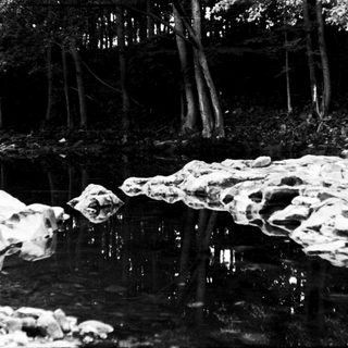 Serene forest stream with rocky banks.