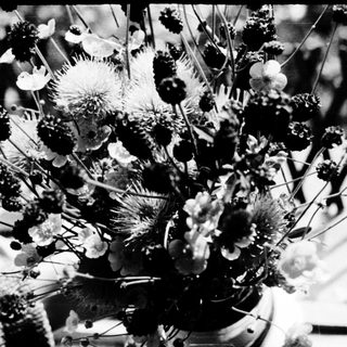 Vibrant bouquet of assorted dried and fresh flowers.