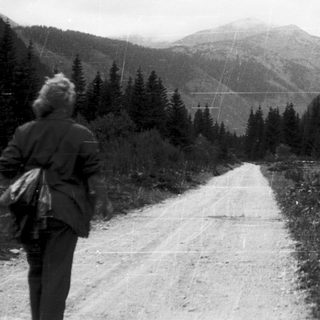Person hiking on mountain road surrounded by forest.