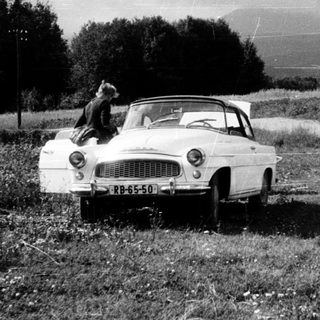 Classic car parked on rural dirt road with dog on hood.