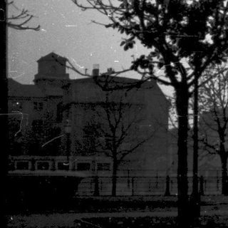 Urban park scene with bare trees and distant tower.