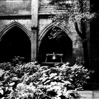 Gothic cathedral interior with tomb and greenery.