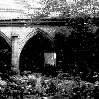 Ruined Gothic-style church interior with overgrown vegetation.