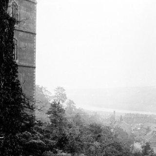 Foggy urban landscape with distant buildings and trees.