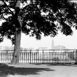 Urban park scene with tree, fence, distant cathedral spire.