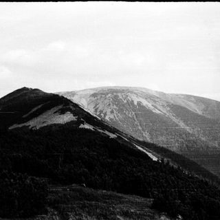 Mountainous landscape with rocky peak and dense forest.