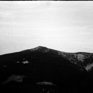 Mountain peak with dense forest below.