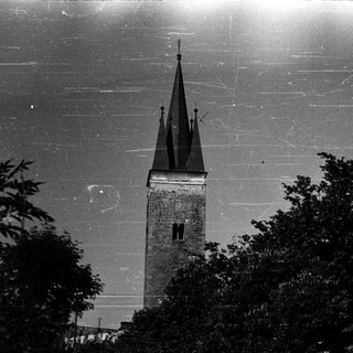 Towering church steeple framed by trees and rooftops.