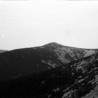 Mountainous landscape with dense forest and rocky peaks.