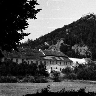 Historic castle atop forested hillside.