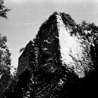 Sharp mountain peak framed by trees.