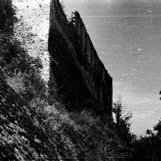 Ancient stone ruins amid dense vegetation.