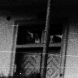 Gothic stone carving on historic building facade.