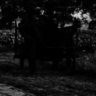 Vintage rural road with horse-drawn cart.