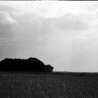 Rural landscape with open field and distant trees.