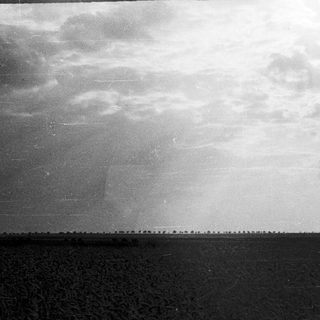 Massive crowd gathered along a long, flat terrain.