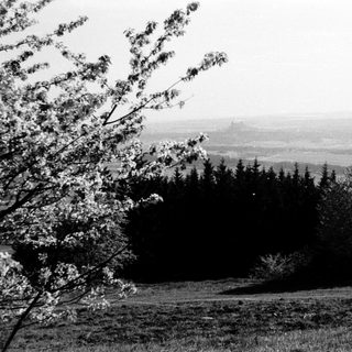 Rural landscape with forested hill and distant plains.