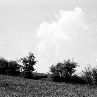 Rural landscape with trees, field, and dramatic cloud formation.